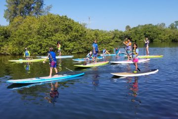 kids paddleboarding in Sarasota Florida