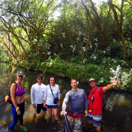 a group of people standing next to a tree