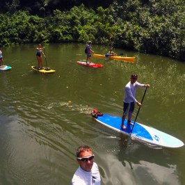 a group of people riding skis on a body of water