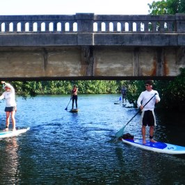 a group of people riding skis on a body of water