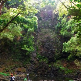 a group of people in a forest