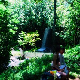 a man standing next to a forest