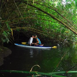 a small boat in a river