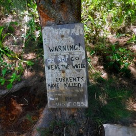 a sign on the side of a tree