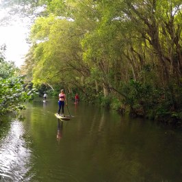 a group of people walking along a river next to a body of water