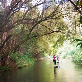 a group of people riding on top of a river