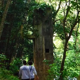 a person standing next to a tree