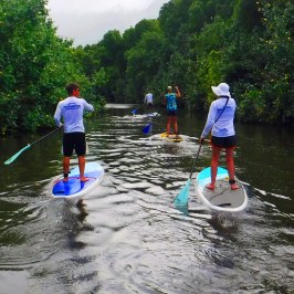 a group of people riding on the back of a boat in the water