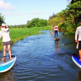 a group of people that are standing in the water
