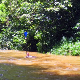 a person flying a kite in a forest