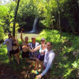 a group of people in a forest
