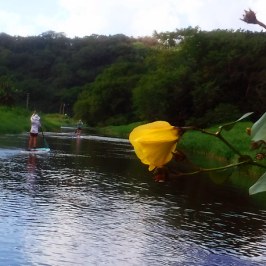 a group of people on a boat in the water