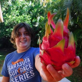 a hand holding a fruit