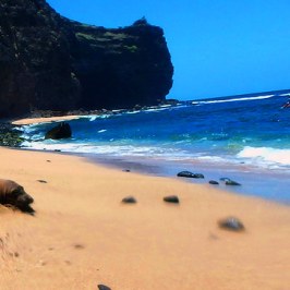 a person lying on a beach