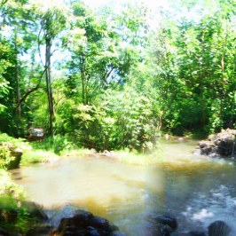 a large waterfall in a forest