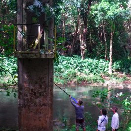 a group of people standing next to a tree