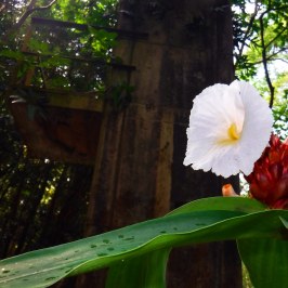 a vase of flowers sitting on a yellow flower