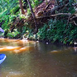 a person riding on the back of a boat in the water
