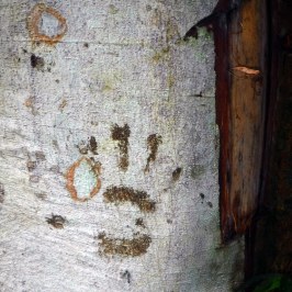 an old stone building