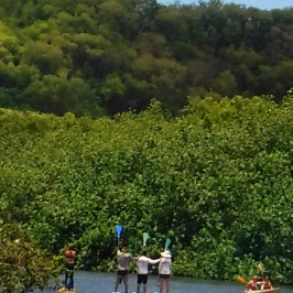 a group of people standing next to a body of water