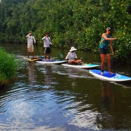 a group of people riding on the back of a boat in the water