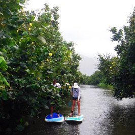 a man riding on the back of a boat in the water
