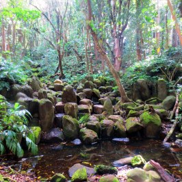 a large waterfall in a forest