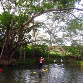 a group of people riding on the back of a boat on a river