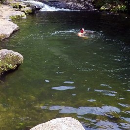 a group of people swimming in a body of water