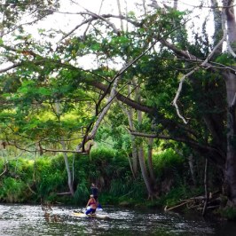 a group of people in a forest