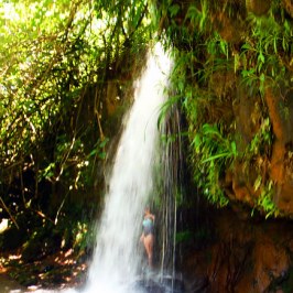 a waterfall with trees on the side of a river