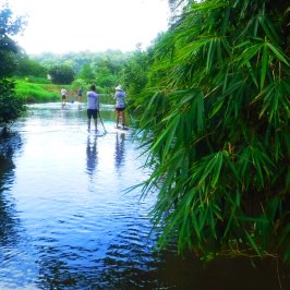 a group of people standing in front of a lake surrounded by trees