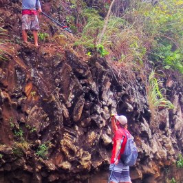 a person standing next to a river