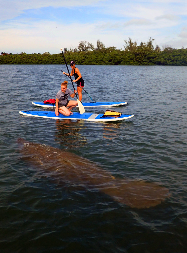 a group of people rowing a boat in the water