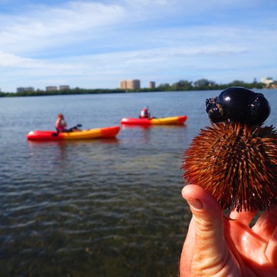 a small boat in a body of water
