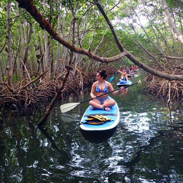 a person riding on the back of a boat next to a tree