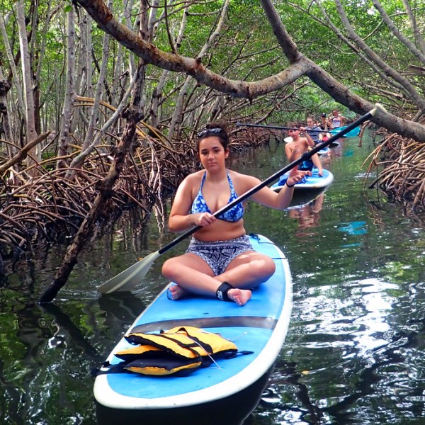 a person riding on the back of a boat next to a tree