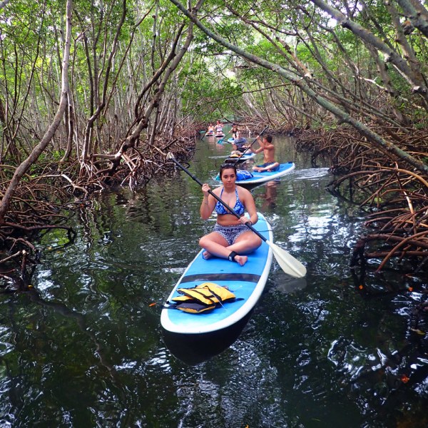 a man riding on the back of a boat next to a forest