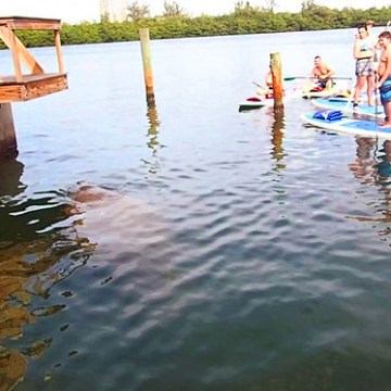 a group of people in a small boat in a body of water