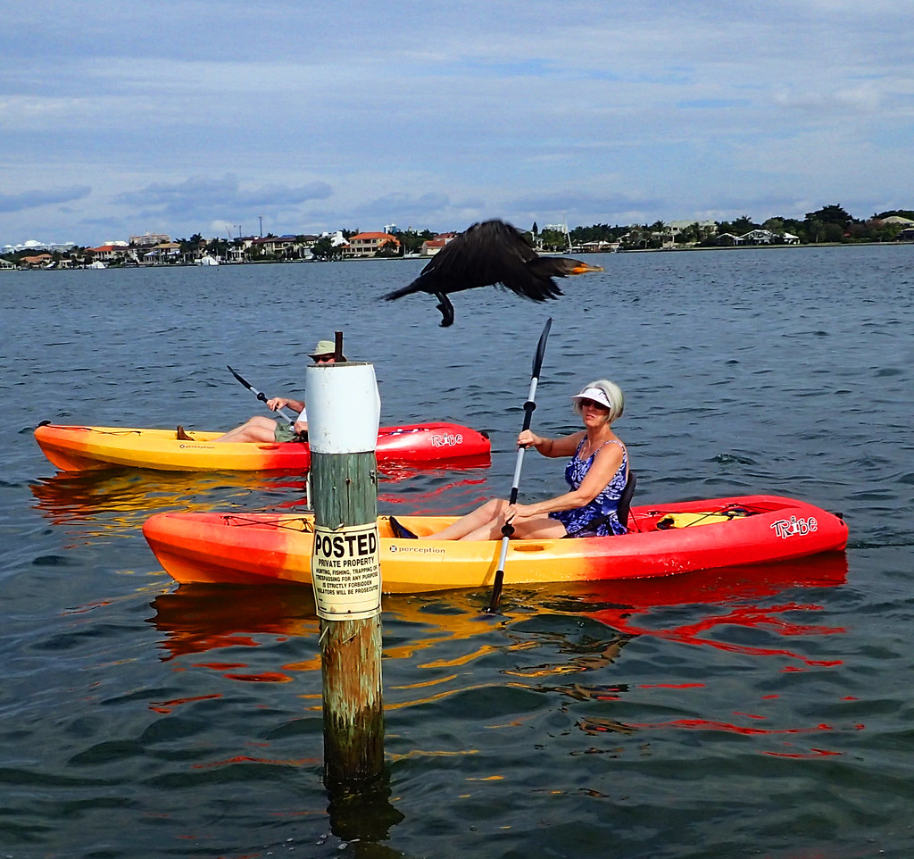 a small boat in a body of water