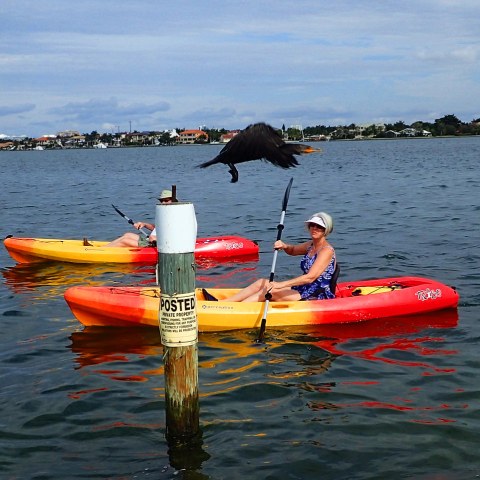 a small boat in a body of water