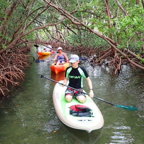 a person riding on the back of a boat in the water