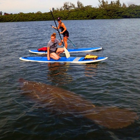 a group of people in a small boat in a body of water