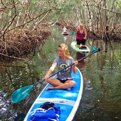 a person riding a surf board on a body of water