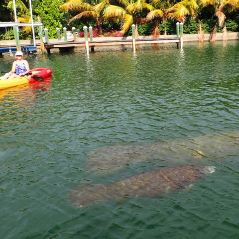 a small boat in a body of water