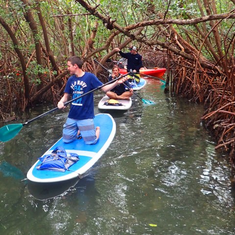 a young man riding a surfboard in the water