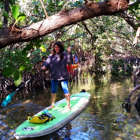 a person riding a surfboard on top of a tree