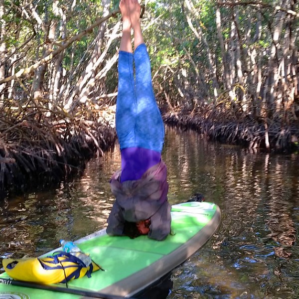 a raft next to a tree