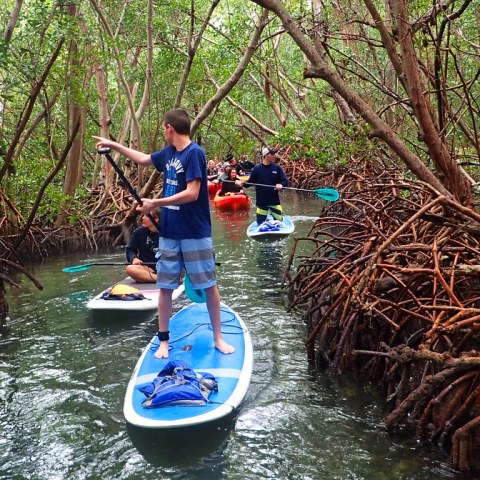 a person riding on the back of a boat next to a tree