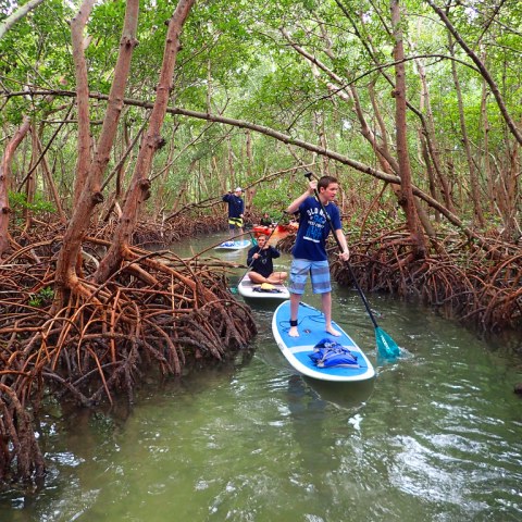 a man riding on the back of a boat in the water